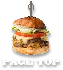 PAGE TOP